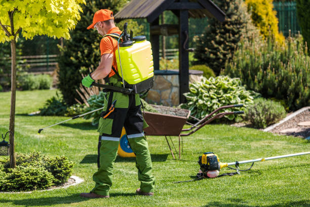 Best Pest Exclusion Services  in Hasson Heights, PA